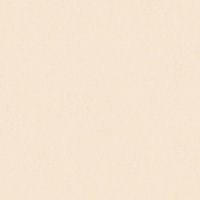 Gạch Thạch Bàn 60x60 LGB-0009