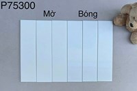 Gạch thẻ trang trí 7.5x30 P75300
