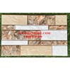 Gạch trang trí 25x40 T74423N