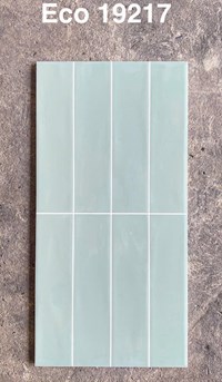 Gạch trang trí 30x60 bóng 19217