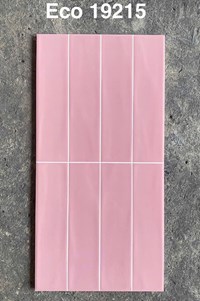 Gạch trang trí 30x60 bóng ECO 19215