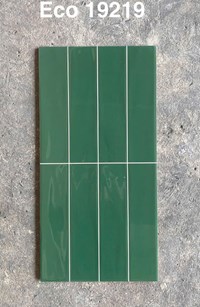 Gạch trang trí 30x60 bóng ECO 19219