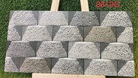 Gạch trang trí 3D Ấn Độ 30x60 3819G