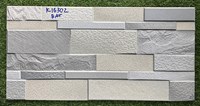 Gạch trang trí 3D Ấn Độ 30x60 K16302