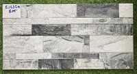 Gạch trang trí 3D Ấn Độ 30x60 K16304