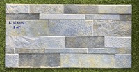 Gạch trang trí 3D Ấn Độ 30x60 K16309