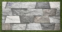 Gạch trang trí 3D Ấn Độ 30x60 K16310