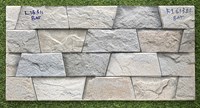 Gạch trang trí 3D Ấn Độ 30x60 K16311