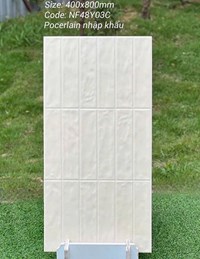 Gạch trang trí decor 40x80 mờ NF48Y03C