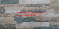 Gạch trang trí giá rẻ 20x40 20401