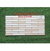Gạch trang trí giá rẻ 25x50 W25503M