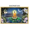 Gạch tranh 3D Phật giáo 005