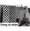 Gạch trồng cỏ 8 lỗ nhám