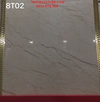 Gạch Trung Quốc 80x80 đồng chất 8T02