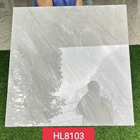 Gạch Trung Quốc 80x80 đồng chất khắc kim HL8103
