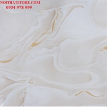 Gạch vi tinh ngọc thạch 100x100 HCT10112