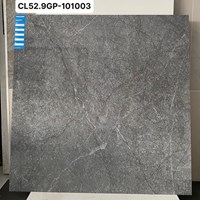 Gạch Viglacera 100x100 CL52-9GP101003
