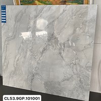Gạch Viglacera 100x100 CL53-9GP101001