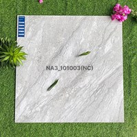 Gạch Viglacera 100x100 NA3-101003