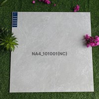 Gạch Viglacera 100x100 NA4-101001