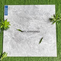 Gạch Viglacera 100x100 NA5-101001