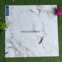 Gạch Viglacera 100x100 NA6-101001