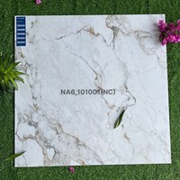 Gạch Viglacera 100x100 NA6-101001