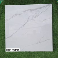 Gạch Viglacera 100x100 SH51-9GP01