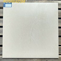 Gạch Viglacera 60x60 bán sứ mờ ADS6642SM