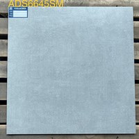 Gạch Viglacera 60x60 bán sứ mờ ADS6645SM