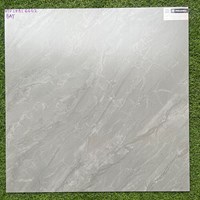 Gạch Viglacera 60x60 bán sứ mờ SHBS6602