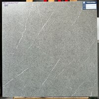 Gạch Viglacera 60x60 bán sứ mờ VHP6610