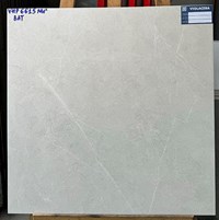 Gạch Viglacera 60x60 bán sứ mờ VHP6615