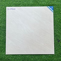 Gạch Viglacera 60x60 mờ CLSM602
