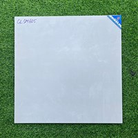 Gạch Viglacera 60x60 mờ CLSM605