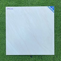 Gạch Viglacera 60x60 mờ SM603