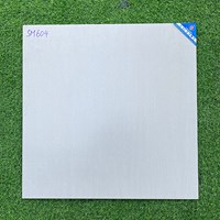Gạch Viglacera 60x60 mờ SM604