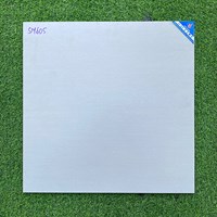 Gạch Viglacera 60x60 mờ SM605