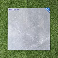 Gạch Viglacera 60x60 mờ xi măng MDK662017-HTP